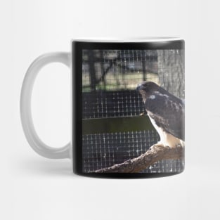 Hawk Mug